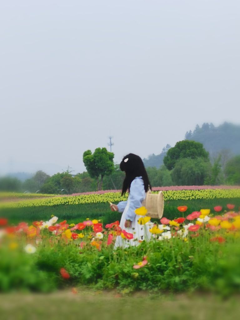 宋韻良景，繁花成海！丨第一季度會(huì)議暨團(tuán)建活動(dòng)圓滿(mǎn)結(jié)束！