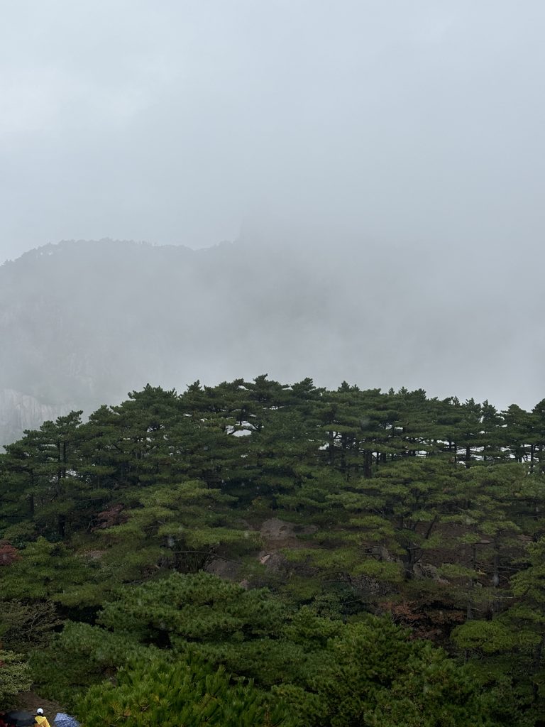 凝心聚力，勇攀高峰！丨三贏人力集團2024年第三季度會議及團建活動